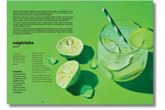 Samba: A Celebration of Brazilian Cuisine (Volume 18) (Blasta Books)