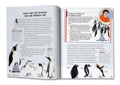 Antarctica: The Melting Continent by Karen Romano Young - used book at Perkology Books