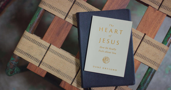 The Heart of Jesus: How He Really Feels about You