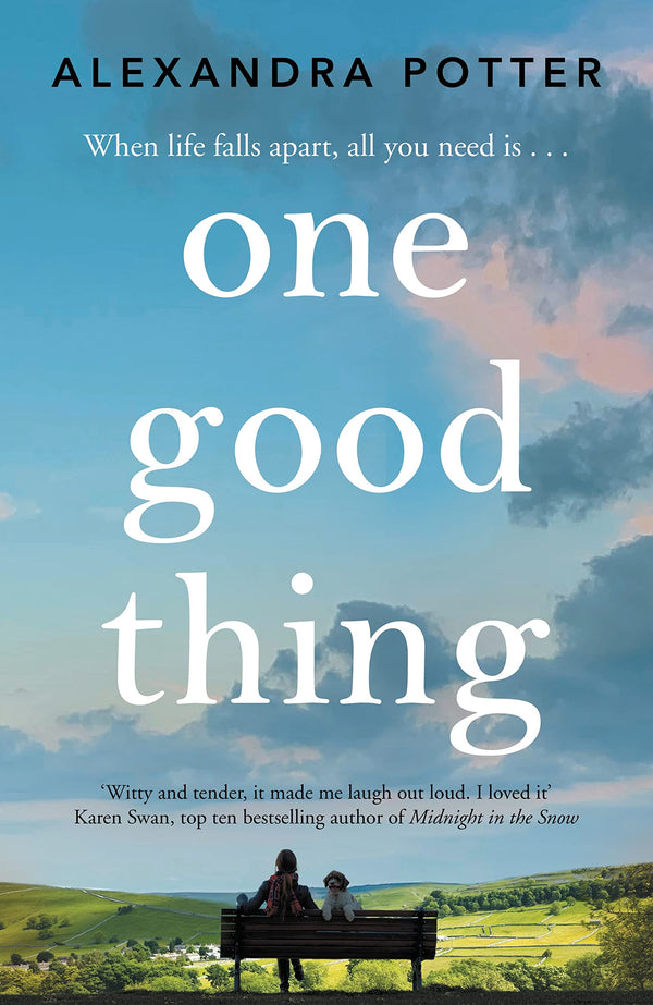 One Good Thing by Alexandra Potter - used book at Perkology Books