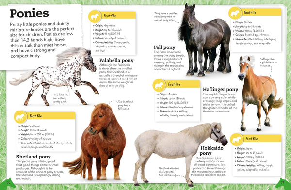 My Book of Horses and Ponies: A Fact-Filled Guide to Your Equine Friends