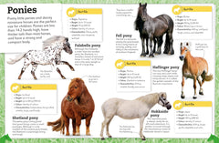 My Book of Horses and Ponies: A Fact-Filled Guide to Your Equine Friends