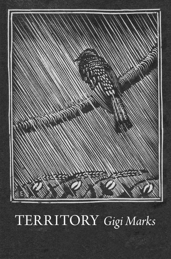 Territory [Paperback] Marks, Gigi by Gigi Marks - used book at Perkology Books