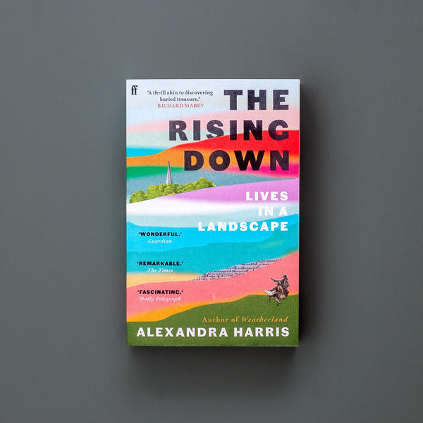 The Rising Down: Lives in a Landscape