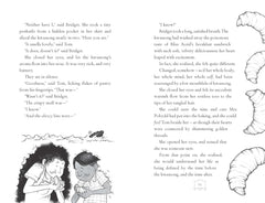 Bridget Vanderpuff and the Baked Escape by Martin Stewart - used book at Perkology Books