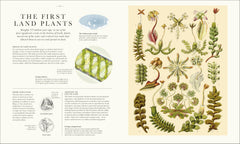 Atlas of Botany: An Exploration of Plants Across Time and Around the World