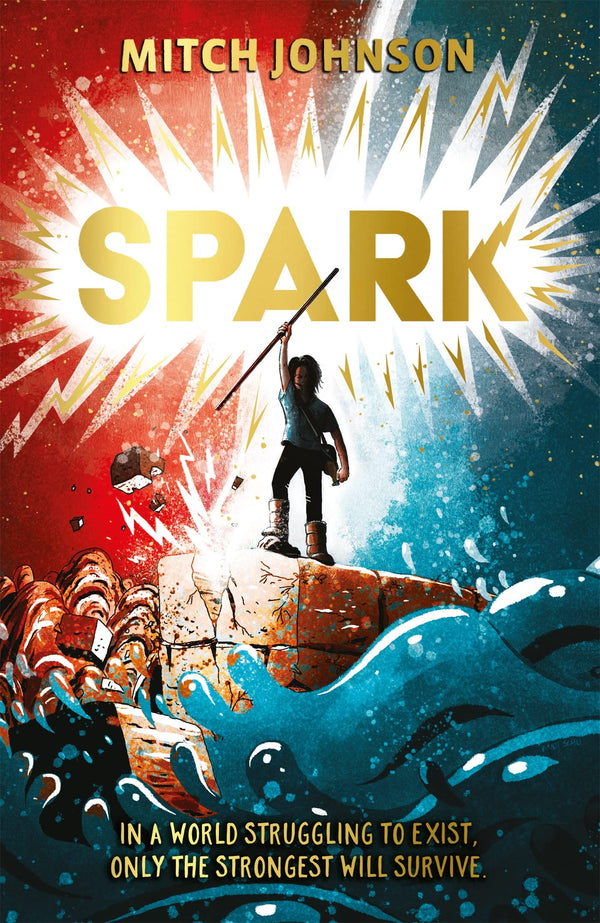 Spark [Paperback] Johnson, Mitch by Mitch Johnson - used book at Perkology Books