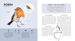 RSPB Bird Tales: Traditional Stories, Folklore and Activities by Dawn Casey - used book at Perkology Books