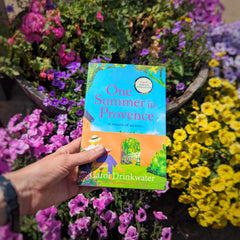 One Summer in Provence: 'Vines and olives and love ... a superb read!' by Carol Drinkwater - used book at Perkology Books