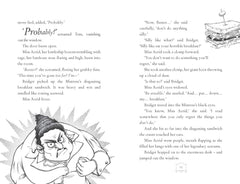 Bridget Vanderpuff and the Baked Escape by Martin Stewart - used book at Perkology Books