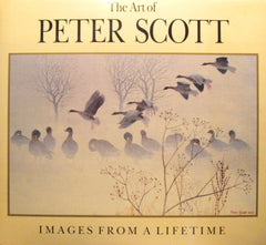 The Art of Peter Scott by Peter Scott - used book at Perkology Books
