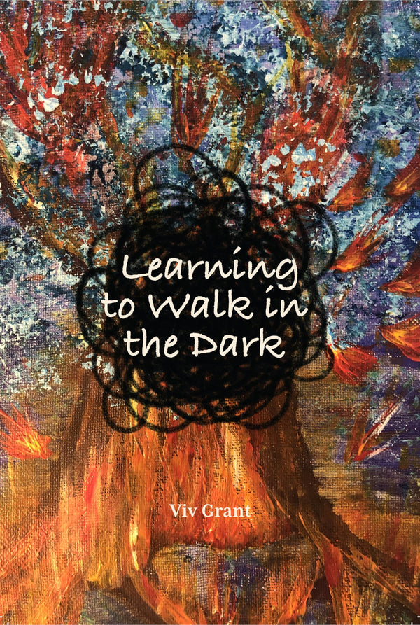 Learning to Walk in the Dark