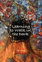 Learning to Walk in the Dark