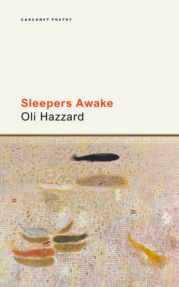Sleepers Awake by Oli Hazzard - used book at Perkology Books