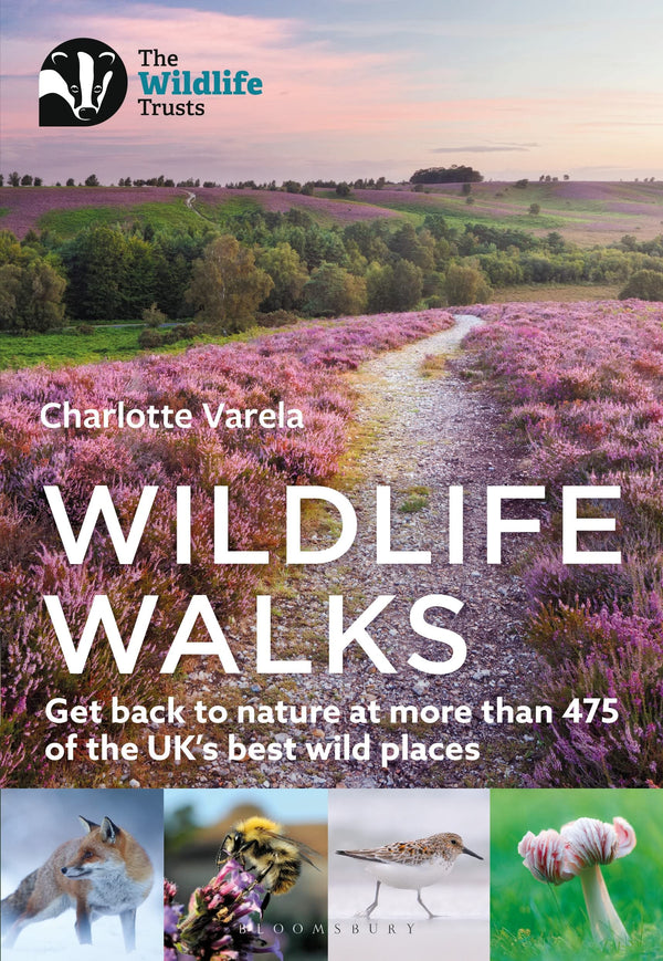 Wildlife Walks: Get back to nature at more than 475 of the UK's best wild places by Charlotte Varela - used book at Perkology Books