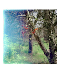 Passing Through [Hardcover] Nigel Grierson by Nigel Grierson - used book at Perkology Books