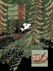 Safer Places by Kit Anderson - used book at Perkology Books