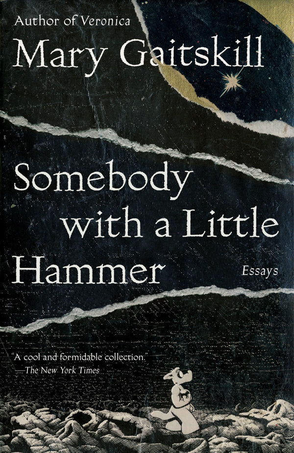 Somebody with a Little Hammer: Essays by Mary Gaitskill - used book at Perkology Books