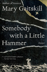 Somebody with a Little Hammer: Essays by Mary Gaitskill - used book at Perkology Books