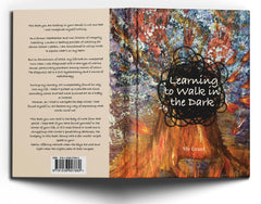 Learning to Walk in the Dark