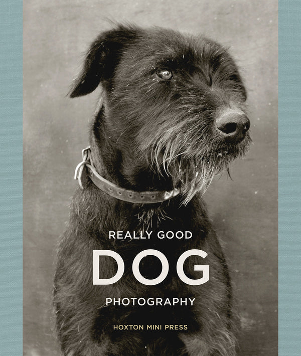 Really Good Dog Photography: Hoxton Mini Press by Lucy Davies - used book at Perkology Books