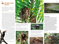 Insight Guides Southeast Asia: Travel Guide with eBook by Insight Guides - used book at Perkology Books