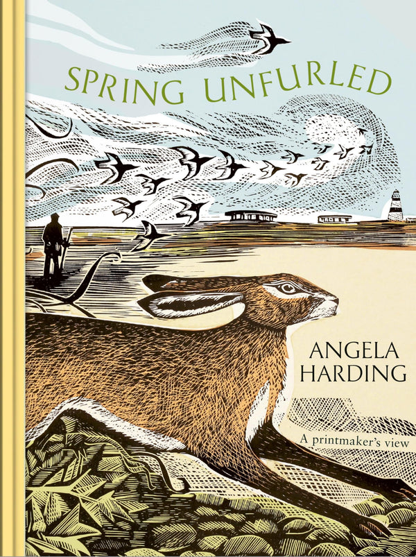 Spring Unfurled: part of a beautiful seasonal quartet from beloved illustrator by Angela Harding - used book at Perkology Books