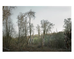 Passing Through [Hardcover] Nigel Grierson by Nigel Grierson - used book at Perkology Books