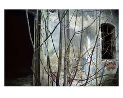 Passing Through [Hardcover] Nigel Grierson by Nigel Grierson - used book at Perkology Books