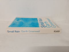 Small Rain