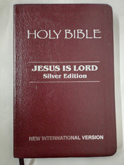 The Holy Bible, NIV Edition, Leathersoft, Burgundy: Niv Edition, Gilted edges.