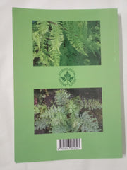 Athyrium Filix Femina and Cultivars