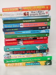 15 Books for Boys, Chapter Books Bundle Age 8+