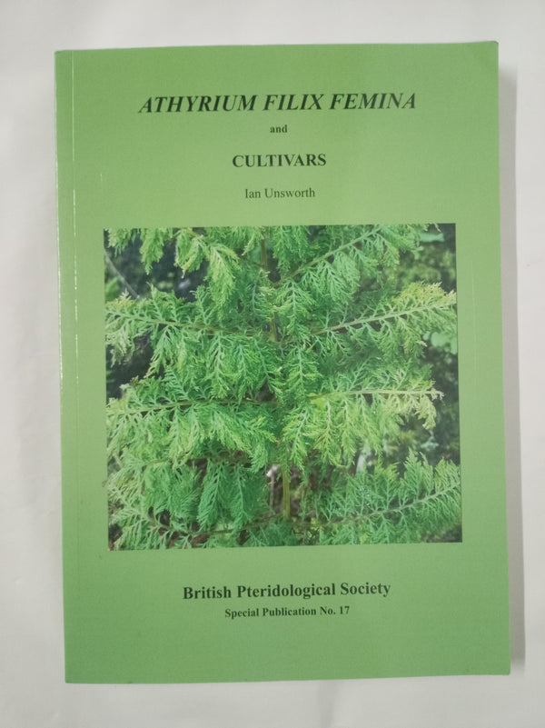 Athyrium Filix Femina and Cultivars