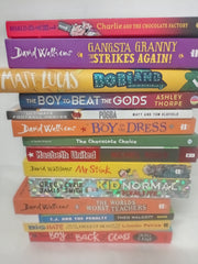 15 Books for Boys, Chapter Books Bundle Age 8+, Random Selection, Mixed Authors