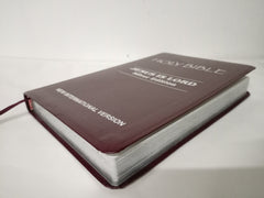 The Holy Bible, NIV Edition, Leathersoft, Burgundy: Niv Edition, Gilted edges.