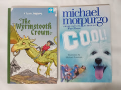 15 Books for Boys, Chapter Books Bundle Age 8+