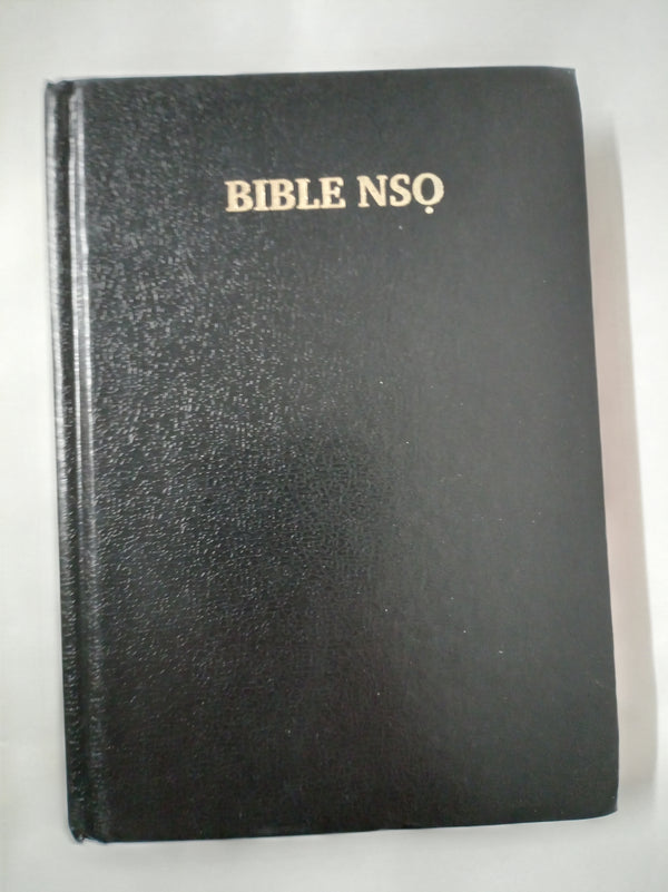 Bible, Nigerian, Igbo
