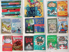 15 Books for Boys, Chapter Books Bundle Age 8+
