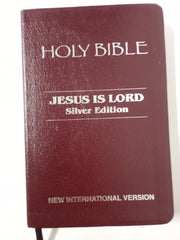 The Holy Bible, NIV Edition, Leathersoft, Burgundy: Niv Edition, Gilted edges.