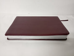 The Holy Bible, NIV Edition, Leathersoft, Burgundy: Niv Edition, Gilted edges.