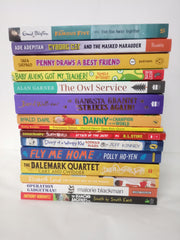 15 Books for Boys, Chapter Books Bundle Age 8+, Mixed Authors