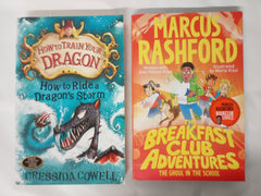 15 Books for Boys, Chapter Books Bundle Age 8+