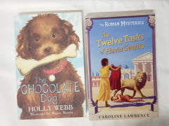15 Books for Girls, Chapter Books Bundle Age 8+, Random Selection, Mixed Authors