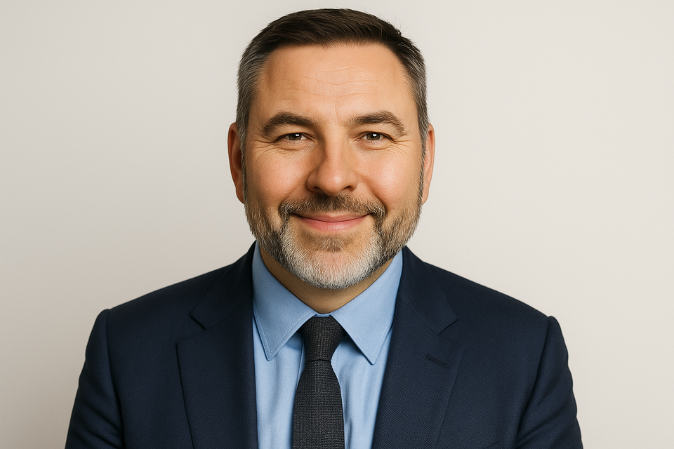 David Walliams portrait