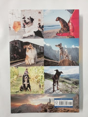 Dog-Friendly Europe: Epic holidays for you and your hound