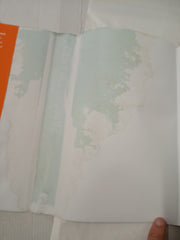 According to G: The Autobiography *Damaged*