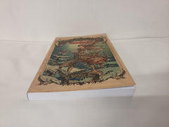 Christmas Colouring Book (Santa Claus: The Book of Secrets)