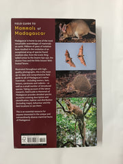 Field Guide to Mammals of Madagascar (Bloomsbury Naturalist)