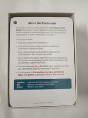 Trail Guide to the Body Flashcards, Vol 2: Muscles of the Body